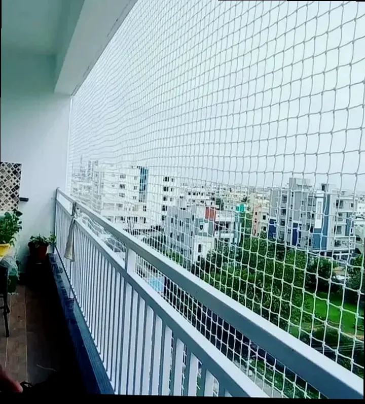 Anti Bird Nets site context for Hiranandani Parks Oragadam