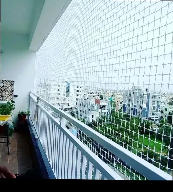 Anti Bird Nets Chennai service context